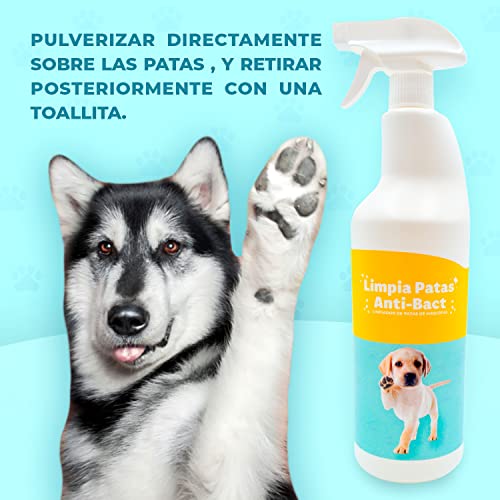 Spray limpiador de patas para perros y gatos - Limpia patas perro - Higienizador patas mascotas (no irritante) - 1 LITRO - Protector de almohadillas + Aloe Vera - Spray antibacteriano para mascotas