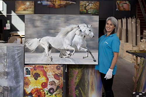 Startonight Cuadro Moderno en Lienzo Dos Caballos Blancos, Paisaje Animales para Salon Decoración Grande 80 x 120 cm