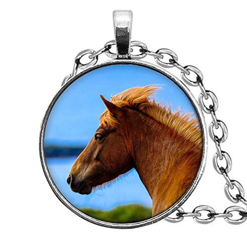 Sunshine Collar de caballo, adornos de cristal cúpula, regalos para ella, hermosos collares