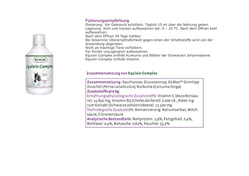 Synopet Equi-Syn Caballo - mejillón de labios verdes liquido GLMax® y Bio-Curcumina