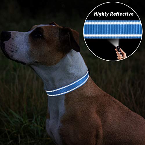 TagME Collar Perro Ajustable,Collar Nylon Reflectante,para Caminar Correr Entrenamiento,para Cachorro,Cielo Azul,1.0cm De Ancho