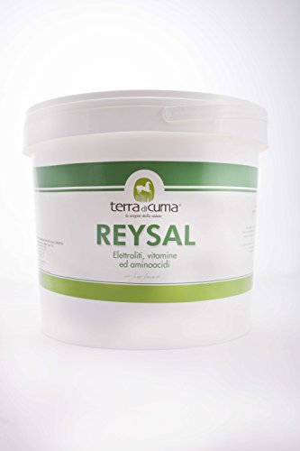 Terra di Cuma Le Origini della Salute Reysal Electrolitos para Caballos Deportivos | Sales Minerales, Vitaminas, Aminoácidos (3kg)