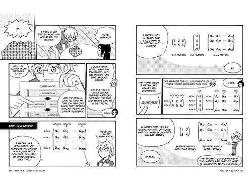 The Manga Guide to Linear Algebra (Manga Guides)