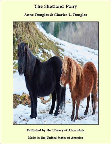 The Shetland Pony (English Edition)