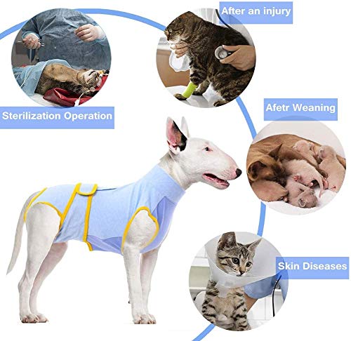 Traje de recuperación para perros y gatos después de la cirugía, camisa de recuperación para heridas abdominales masculinas y femeninas, vendas de cuello en E, alternativo