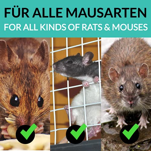 Trampa para Ratones Vivos 30cm - Eficaz y Robusta - Ratonera para Topillos y Ratas