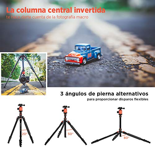 Trípode Cámara GEEKOTO, 195cm Trípode Fotografía Monopie Aluminio con 360° Rótula de Bola Panorámica 1/4" Placa Rápida Liberación y Bolsa de Transporte para DSLR Canon Nikon Sony Cámara