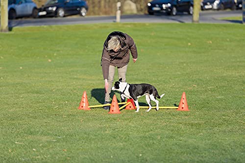TRIXIE Set de Obstáculos para Perros