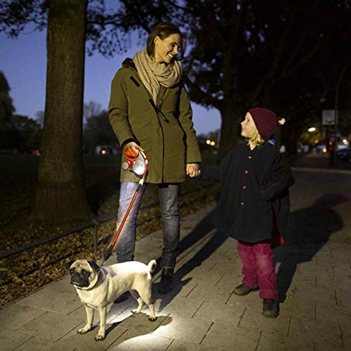 TRIXIE Sistema de Iluminación LED flexi para Perros