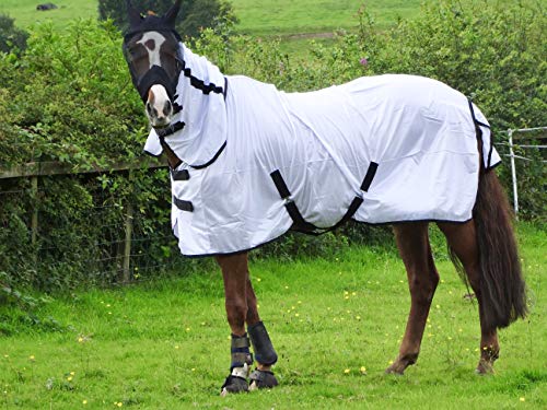 Turner Cool White - Alfombra para caballo, pony, Shetland, cuello completo, ligera, 5 pies 0,9 cm