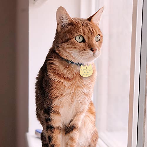 Uiopa Chapas para Gatos, Personalizado Etiquetas de Identificación de Acero Inoxidable para Gato Chapa Perro Grabada, Placa Perro Grabada para Collar Gato Perro Mascota (Oro rosa, Pequeño)