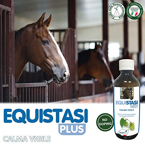 Union Bio® Equistasi Plus 200 ml – Calmante relajante no altera atención a caballo, ayuda al caballo a recuperar calma y equilibrio en precompetición, para calmar sin impacto en el rendimiento