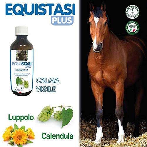 Union Bio® Equistasi Plus 200 ml – Calmante relajante no altera atención a caballo, ayuda al caballo a recuperar calma y equilibrio en precompetición, para calmar sin impacto en el rendimiento