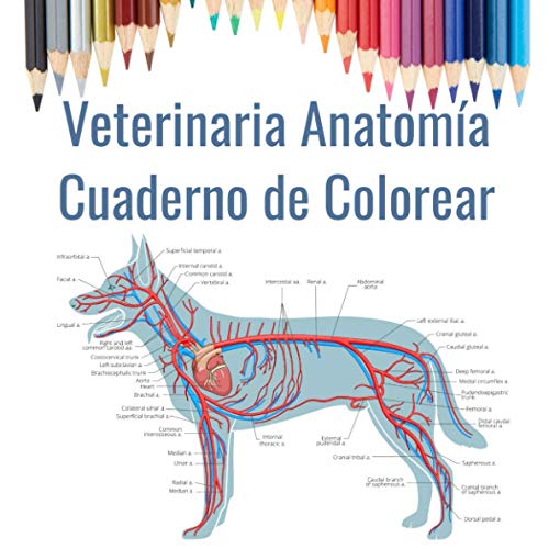 Veterinaria Anatomía Cuaderno de Colorear: Regalo para estudiantes de veterinaria | Libro para colorear de anatomía animal | Perro, gato, caballo, pájaro y más.