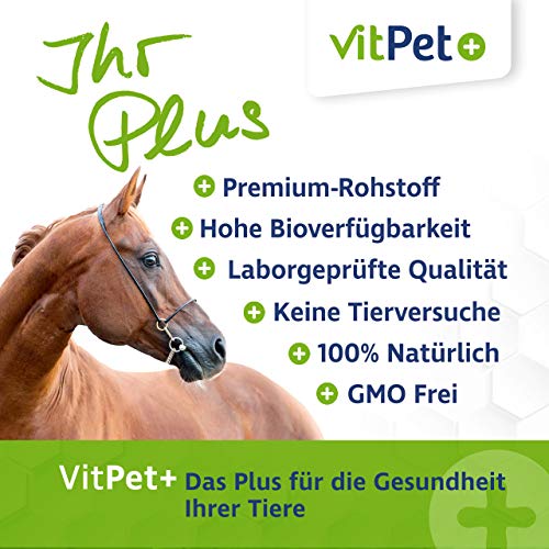 VitPet+ MSM Pferd – Polvo premium MSM para caballos en cubo de 1,8 kg con cuchara dosificadora (polvo de metilsulfonilmetano/azufre para caballos y perros)