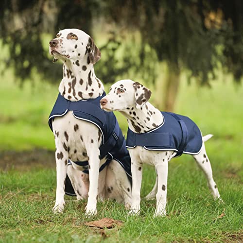 Waldhausen Manta impermeable para perros de tamaño 50, color azul marino