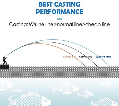 Waline - Sedal de pesca trenzado de polietileno (8 hebras, 300 m, 20, 30, 40, 50, 60, 80, 8 unidades), color gris