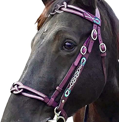 WDSZXH Redes de Caza, Cabezal de Caballo PU Retro Metal Horse Equipment Halters Diseño Cosido de Mano Adecuado para Todos los Caballos, Rojo w (Color : Purple)