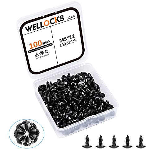 WELLOCKS 100 piezas de tornillos autorroscantes negros, tornillos de cabeza plana de chapa galvanizada en forma de cruz Adecuado para exterior e interior M5 x 12 mm (D268)