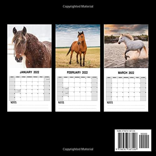 Wild Horses 2022 Calendar: Perfect Calendar for Organizing & Planning ,Funny Calendar for Horses Lovers , 18 Months