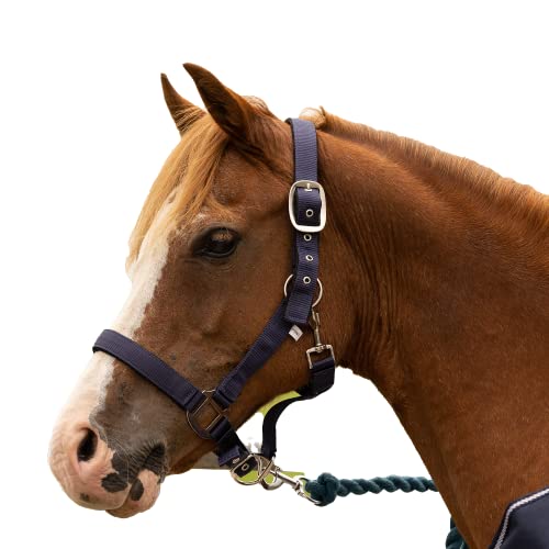 Windsors Collar de caballo clásico clásico de nailon económico especial y ✔ cuerda de plomo combinada, tamaño ajustable, ligero y cómodo para caballo completo mazorca, Shetland (Pony, Coral Blue)