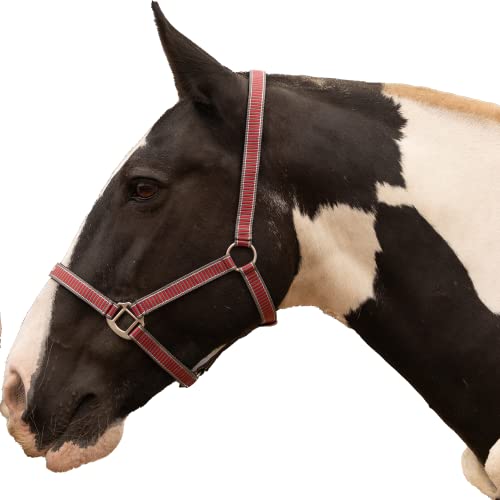 Windsors Collar de cabeza de caballo de nailon con relleno de neopreno, tamaño ajustable, ligero y cómodo para caballo completo cob pony, Shetland (completo, brillo rojo)