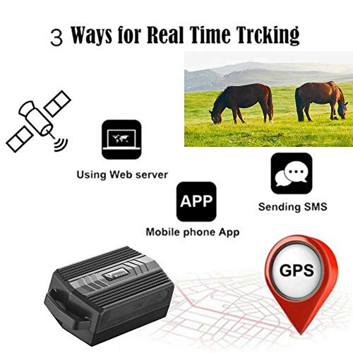 Winnes GPS Tracker Ranch Seguimiento en tiempo real Localizador GPS Localizador Mapas para animales grandes como vacas, caballos, ovejas y camellos