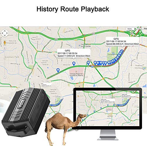 Winnes Localizador GPS para Vaca/Caballo/Oveja/Camello IP66 Impermeable Rango Ilimitado Seguimiento en Tiempo Real rastreador GPS para Animales Grandes (TK935)