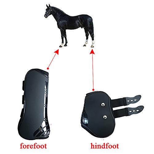 WINNG Protectores para Caballos 4 Unids Caballo Equitación Amortiguador Show Salto Pierna Protección Ecuestre Deportes Tendón Y Fetlock Boots Set,Blue-L