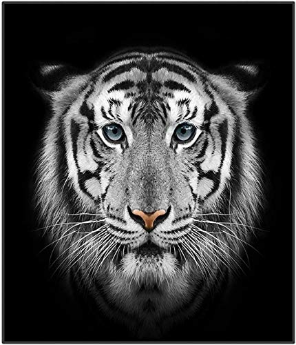 WONGS BEDDING La Cara del Tigre Impreso Manta Animal, impresión Digital, 100% Fibra, Terciopelo de Cristal Lateral A, Terciopelo de Lana Blanca B Lateral, 150 × 200 cm