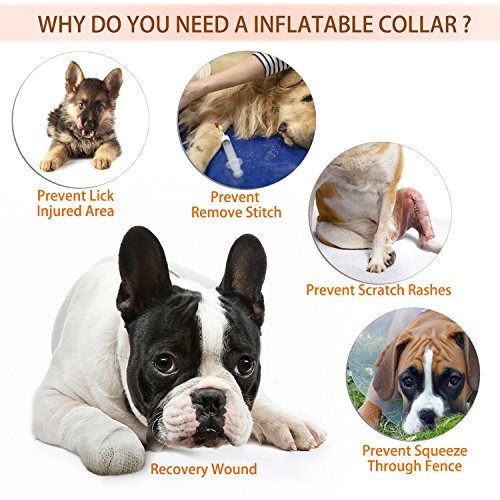 YAMI Collar de recuperación Inflable para Perros, Cono de Cuello isabelino Ajustable para Mascotas Recuperación de cirugía o heridas (L)