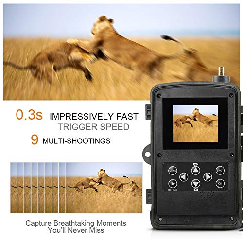 YCXYC 4G Cámara De Caza,MMS/SMS Trampa Fotográfica,HD 20MP 1080P Fauna De 940NM Infrarrojos Visión Nocturna Cámaras De Fotos Trampa Vigilancia Cámaras De Impermeable IP65 con Batería De Litio 5000Mah
