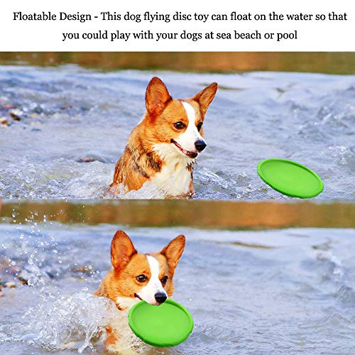 YOUYIKE Perros interactivos Frisbee,2 Pcs Frisbee Perro,Juguete para Masticar Mascotas de Goma,Juguete de Disco Volador para Perro (Solo para Perros pequeños)