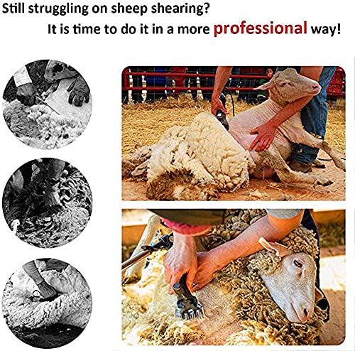 YQJY Esquiladora ovejas 690W Un Set Completo para Esquiladora Eléctrica Animales de Granja Maquina esquilar ovejas Cizalla para Trasquilar Alto Rendimiento, 6 Velocidades Ajustables