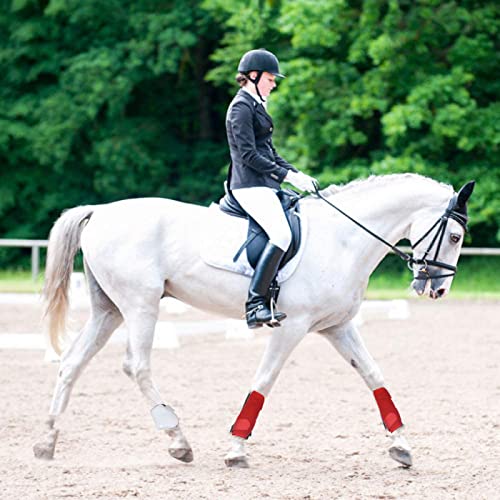 ZCED Professional Choice Horse Boots Rojo, Botas De Caballo para Patas Delanteras De Caballos, Botas De Medicina para Deportes De Caballo, para Montar Protección contra Saltos con Amortiguación