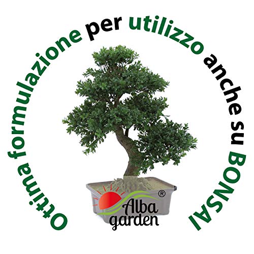 Albagarden - Masilla para injertos y podaduras ++ con cobre + + antibacteriana Pasta Cicatrizante curativa para heridas plantas arbustos Kit Bonsai X 1 kg