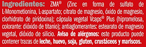 AMIX - Complemento Alimenticio - ZMA - 90 Cápsulas - Combinación de Zinc y Magnesio - Contiene Vitamina B6 - Alto Poder Anabólico - Suplemento Deportivo para Aumentar Masa Muscular