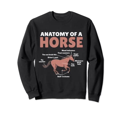 Anatomía Caballo Ecuestre Western Racing Caballos Amante Caballo Sudadera