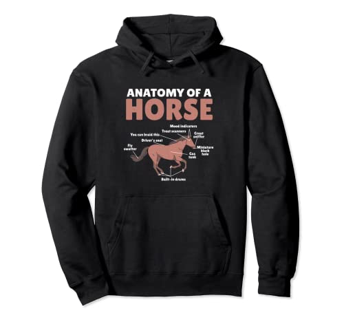 Anatomía Caballo Ecuestre Western Racing Caballos Amante Caballo Sudadera con Capucha