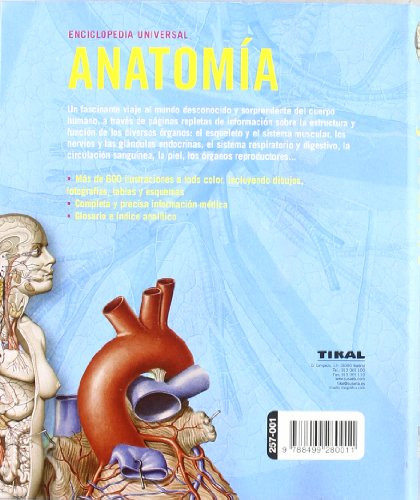 Anatomía (Enciclopedia Universal)
