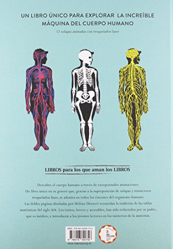 Anatomía: Troquelados e ilustraciones para observar el cuerpo humano (Libros para los que aman los libros)
