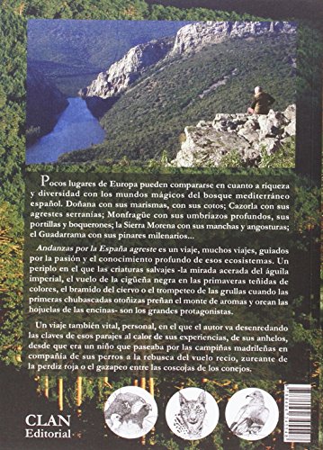 Andanzas por la España agreste: El mundo mágico del bosque mediterráneo (Testimonios Rurales)