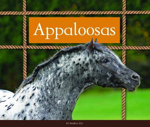 Appaloosas (Majestic Horses) (English Edition)