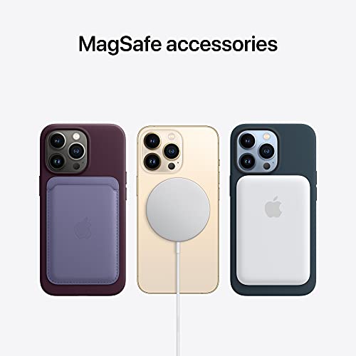 Apple Funda de Silicona con MagSafe (para el iPhone 13 Pro) - Caléndula