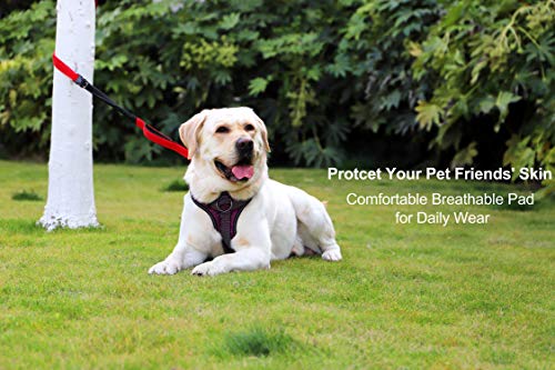 Arnés reflectante para perro sin tirar, ajustable, clip frontal, resistente, seguro, arnés de control suave para perros pequeños, medianos y grandes