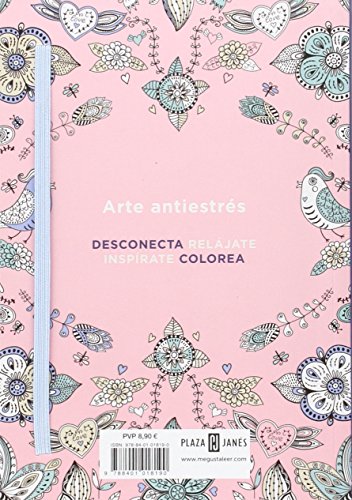 Arte Antiestrés: Cosas bonitas. 100 láminas para colorear (Obras diversas)