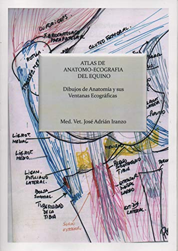 Atlas de anatomo-ecografía del equino: Dibujos de anatomía y sus ventanas ecográficas