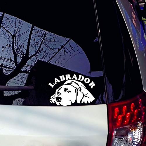 Auleset Autoadhesivo coche etiqueta engomada y calcomanías, vehículo exterior de la parte posterior de la decoración del patrón de labrador, miedo PET perro pegatinas negro