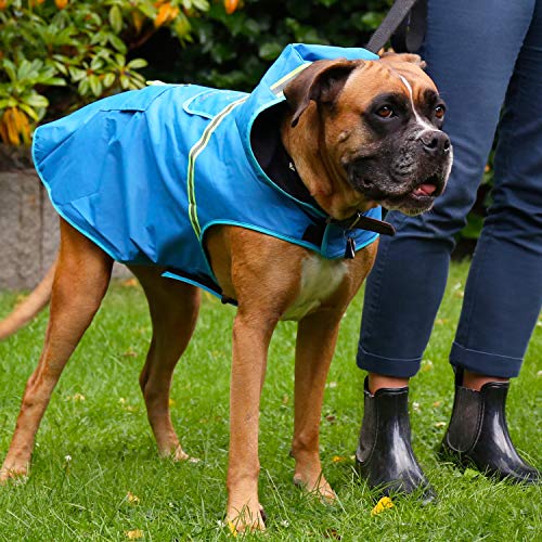 Bella & Balu Chubasquero de perro - Impermeable para mascotas con capucha y reflectores para proteger a su perro en paseos largos del frío, la lluvia o la nieve en épocas frías.(M | NARANJA)