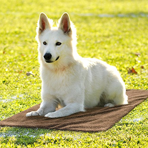 Bella & Balu Esterilla térmica para mascotas (autocalentable) con paño de microfibra para limpiar las patas. Calefacción + manta térmica aislante con funda para perros y gatos (largo | 140 x 80 cm)